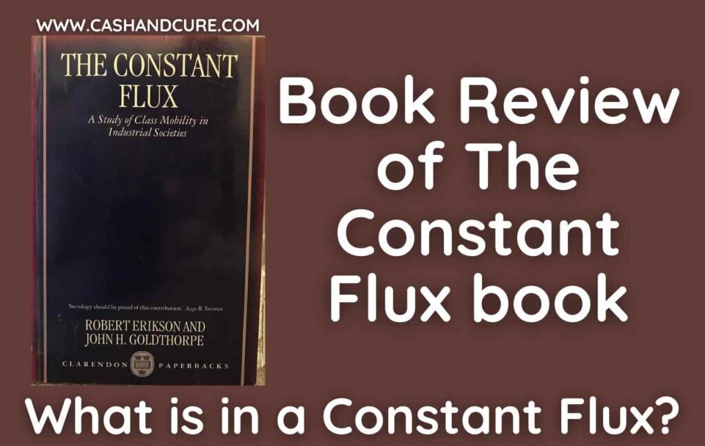 What is in a Constant Flux Book Review of The Constant Flux book