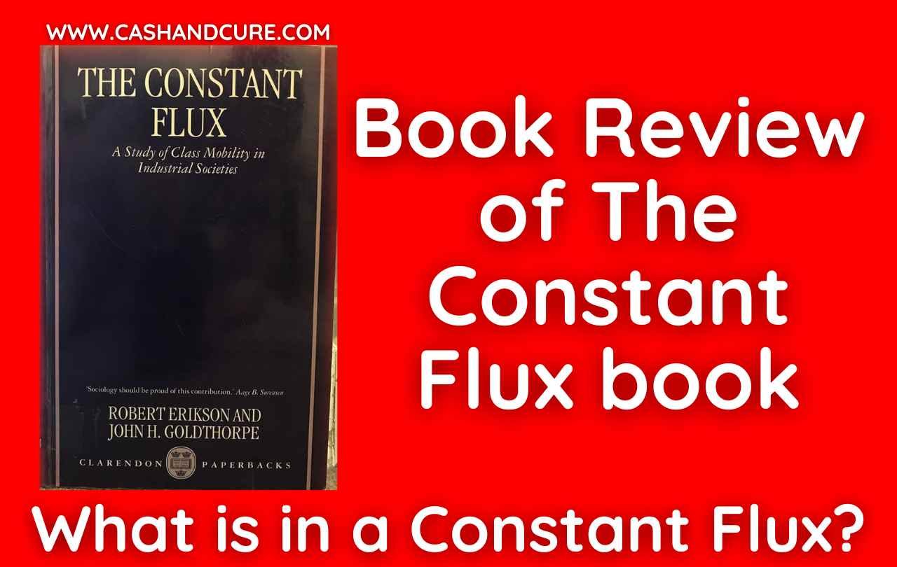 What is in a Constant Flux Book Review of The Constant Flux book