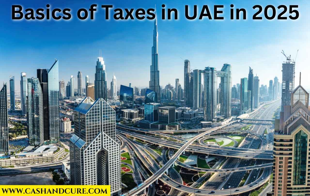 Basics of Taxes in UAE in 2025